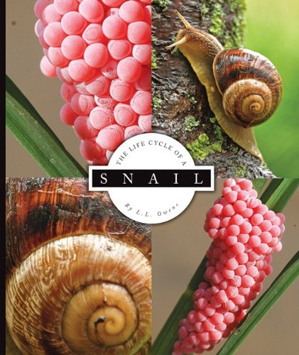 Snail