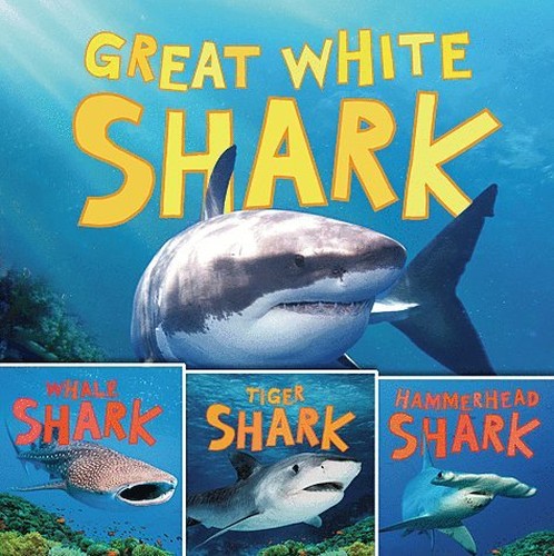 Discovering Sharks  Paperback Book Set Includes Whale Shark Tiger Shark Hammerhead Shark  Great White Shark