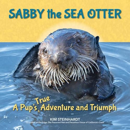 Sabby the Sea Otter