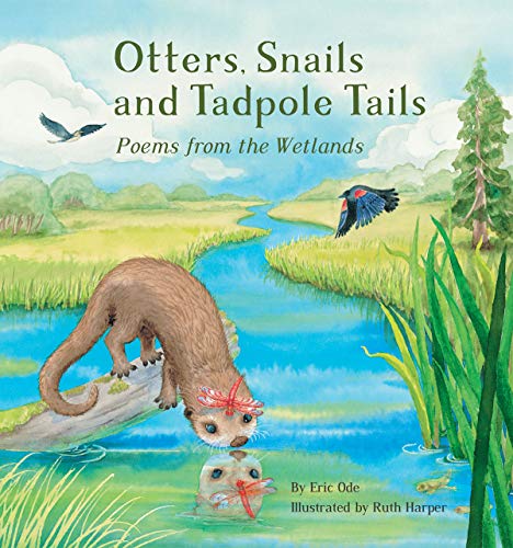 Otters, Snails and Tadpole Tails