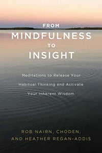 From Mindfulness to Insight 