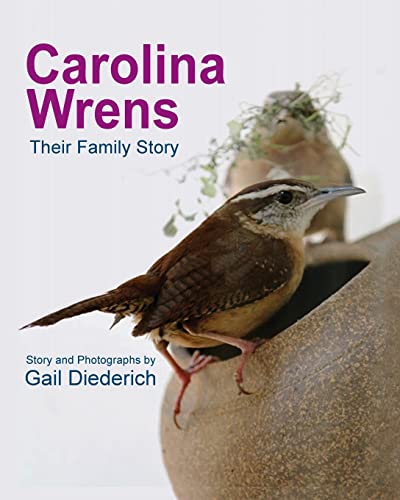 Carolina Wrens