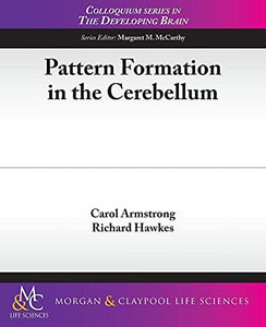 Pattern Formation in the Cerebellum 