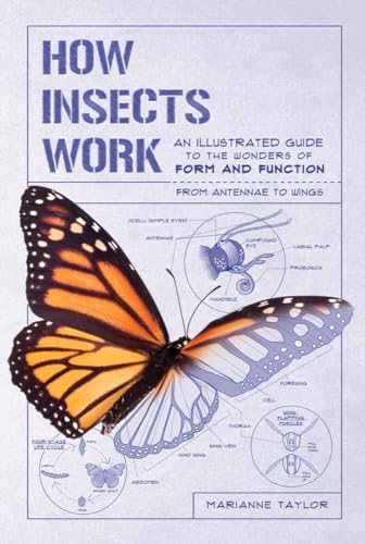 How Insects Work