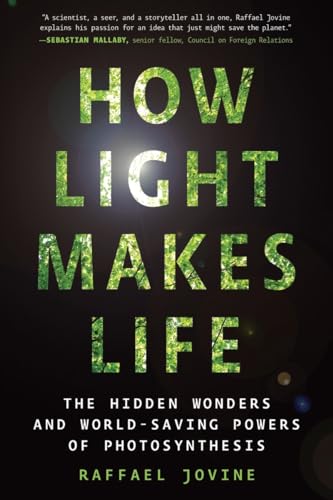 How Light Makes Life