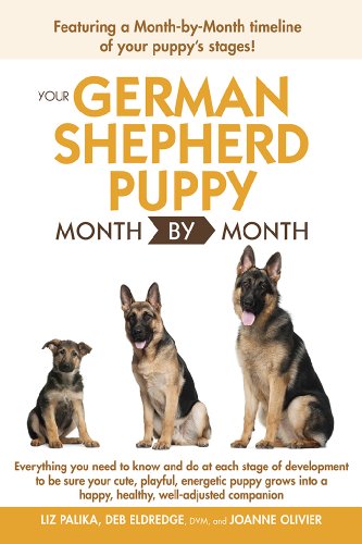 Your German Shepherd Puppy Month by Month