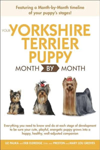Your Yorkshire Terrier Puppy Month by Month 