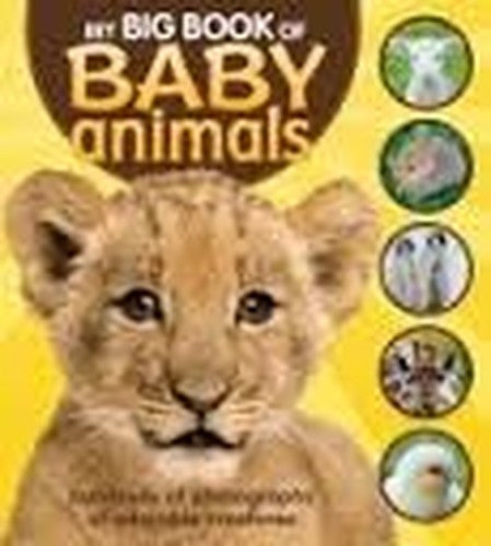 My Big Book of Baby Animals