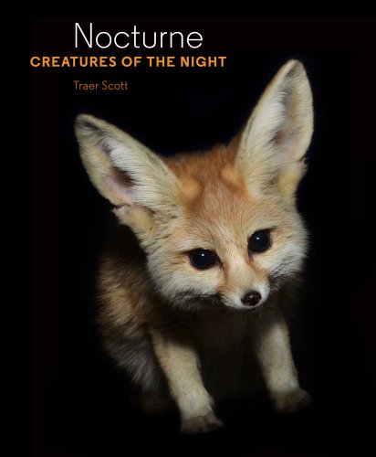 Nocuturne Creatures of the Night