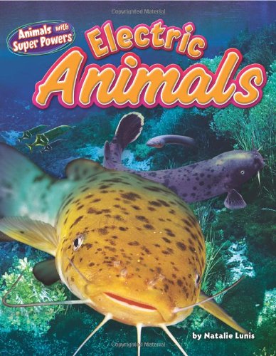 Electric Animals