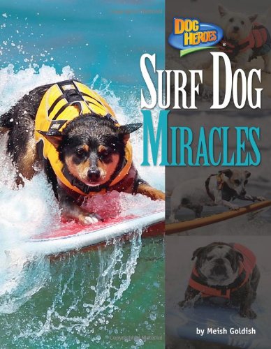 Surf Dog Miracles