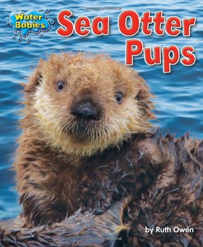 Sea Otter Pups