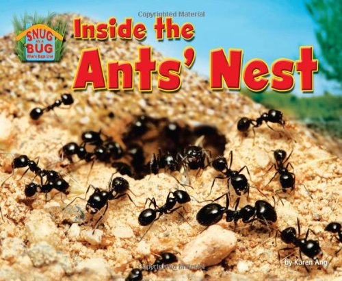 Inside the Ants' Nest