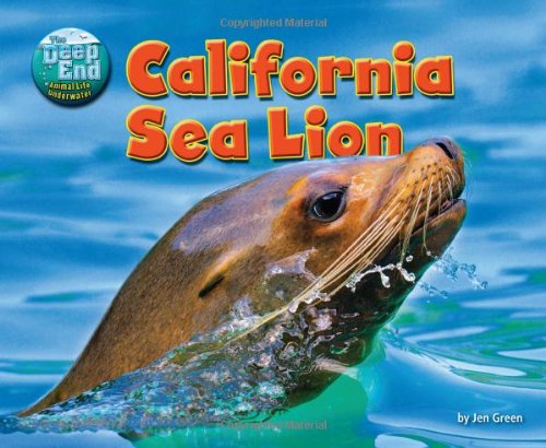 California Sea Lion