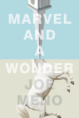 Marvel and a Wonder