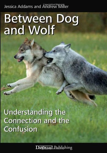 Between Dog and Wolf