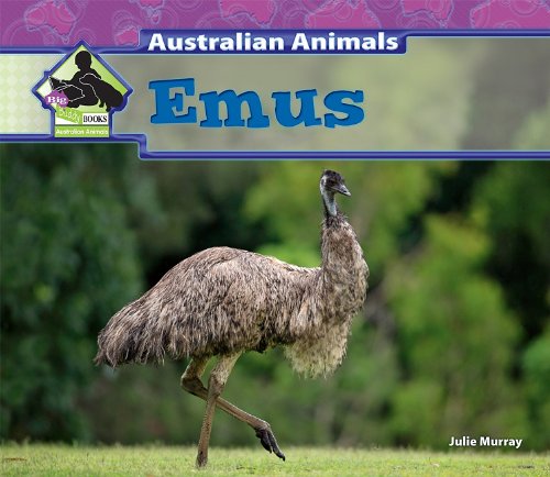 Emus (Australian Animals)