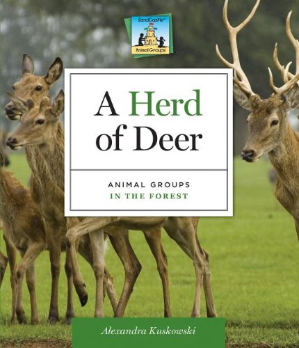 Herd of Deer