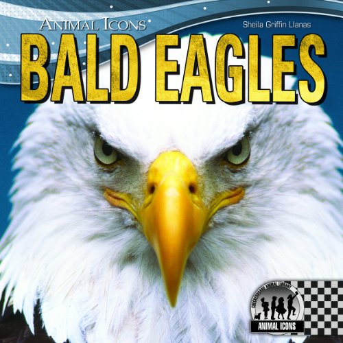 Bald Eagles