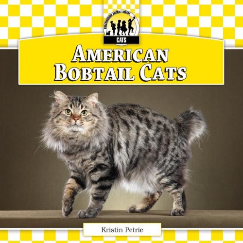 American Bobtail Cats