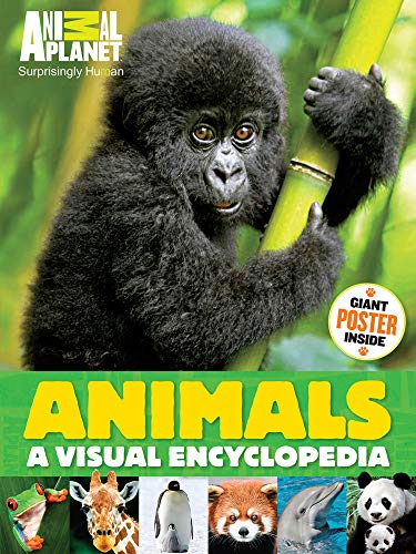 Animals: A Visual Encyclopedia