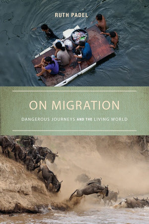 On Migration