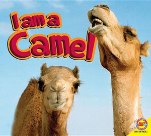I Am a Camel with Code