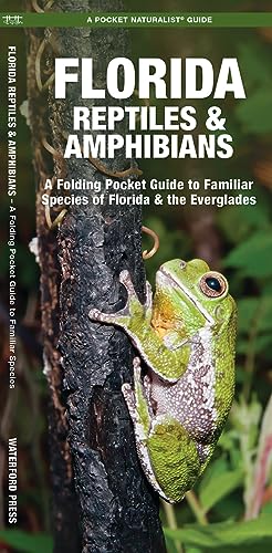 Florida Reptiles & Amphibians