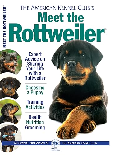 Meet the Rottweiler