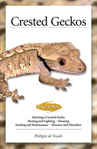 Crested Geckos