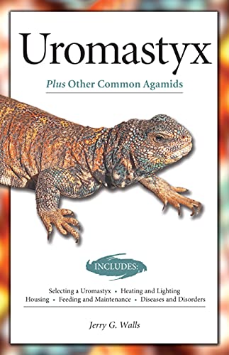 Uromastyx (Advanced Vivarium Systems)