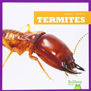 Termites