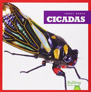Cicadas