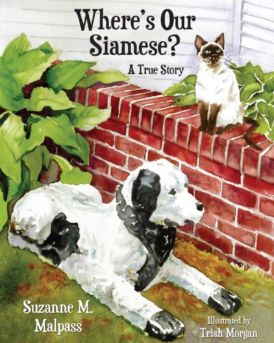 Where's Our Siamese?