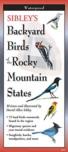 Sibley's Back. Birds of Rocky Mountain States