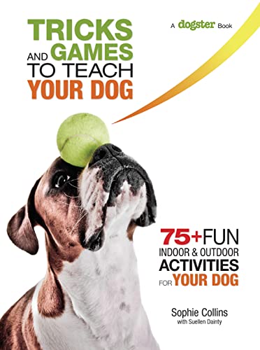 Tricks and Games to Teach Your Dog