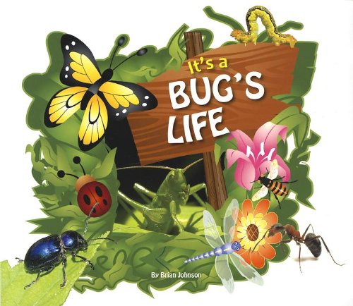 It's a Bug's Life