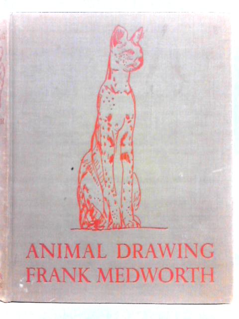 Animal Drawing.