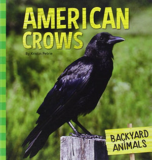 American Crows