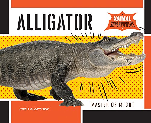 Alligator