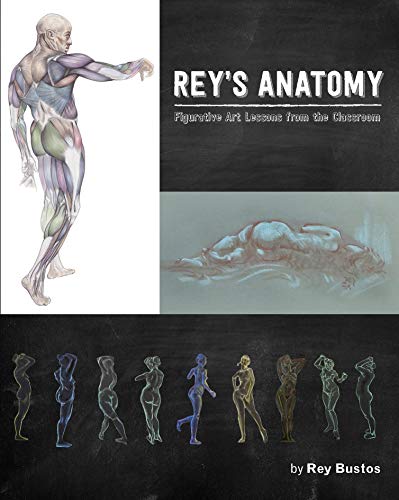 Reys Anatomy