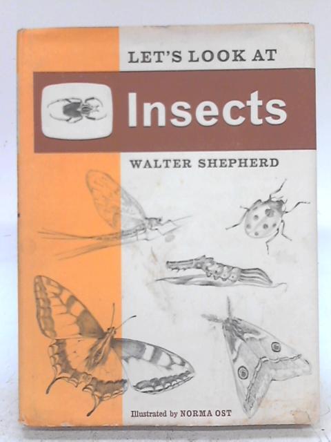Let's Look at Insects