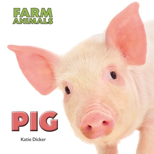 Pig