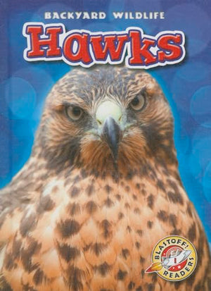 Hawks