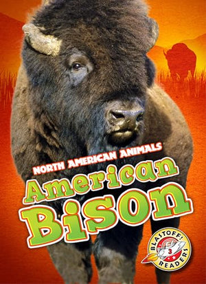 American Bison
