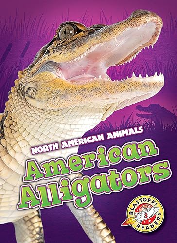 American Alligators