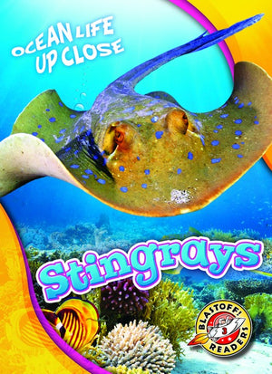 Stingrays