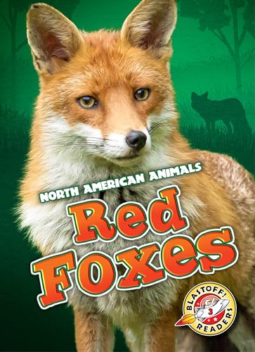 Red Foxes