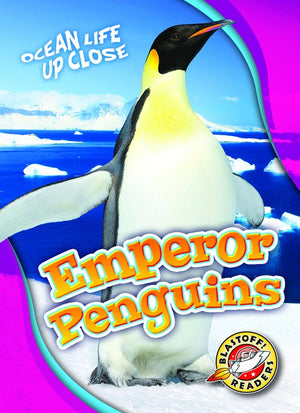 Emperor Penguins