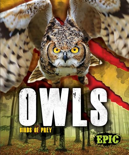 Owls